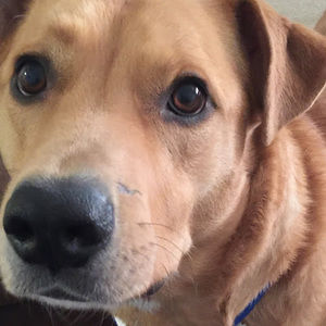 Meet your Posher, Jerry